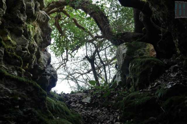 Non c'� solo Mercadante: dall�altra parte di Cassano grotte e natura antica